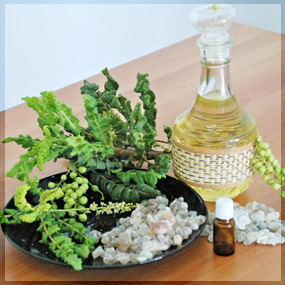 Frankincence essential oil